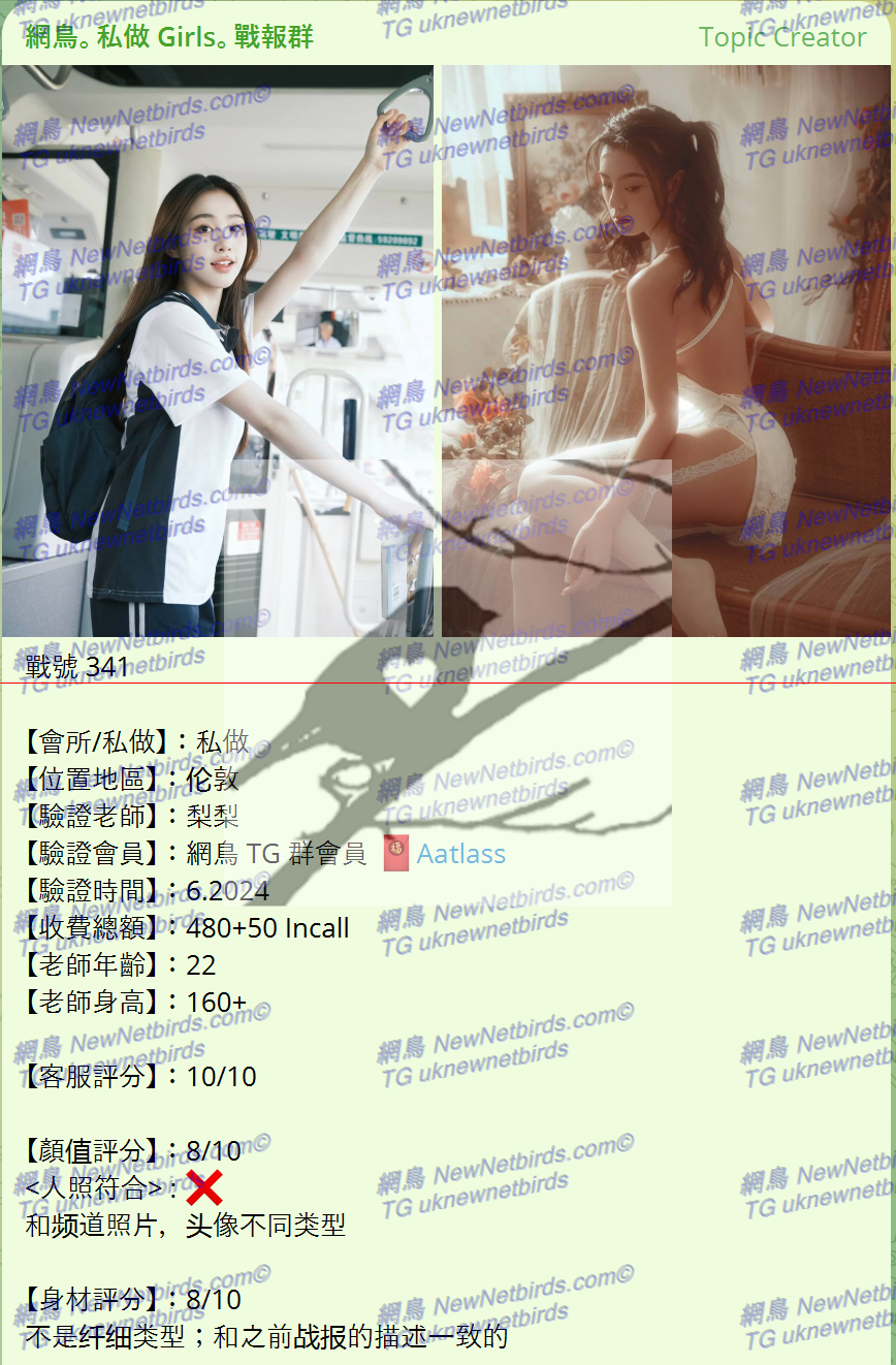 戰號 341 1.png